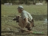 人与自然 《人与自然》 20121226 自然故事 与狮共舞