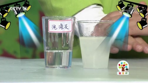 智慧树 《智慧树》 20191218