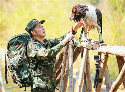 奇兵神犬 第4期：大考核沙溢携爱犬神配合