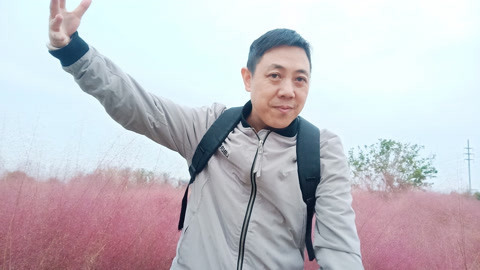唱罢吹灯 无锡最美的粉黛网红草