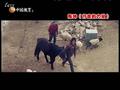 娱乐现场 《娱乐现场》20110504：滚石30鸟巢演唱会回顾