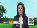 小区大事 《小区大事》 20160722 迷路的孩子