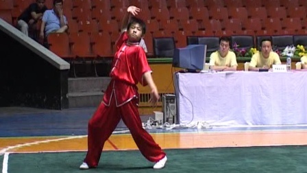 尘封赛事 2005年全国武术套路冠军赛传统项目比赛 男子拳术 036