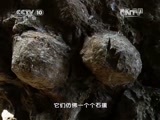 地理中国 《地理中国》 20150412 天书奇谭（下）