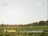 中国财经报道 《中国财经报道》 20160917