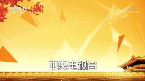 CCTV空中剧院 《CCTV空中剧院》 20200611 越剧《祥林嫂》 2/2