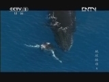 魅力纪录（CCTV-1综合频道） 《魅力纪录》 20121116 地球脉动 第九集 多样浅海