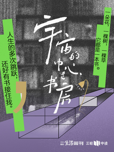 宇宙的中心是书房 海报