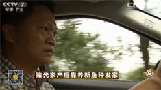 致富经 [致富经]赌光家产后靠养新鱼种发家 20160524