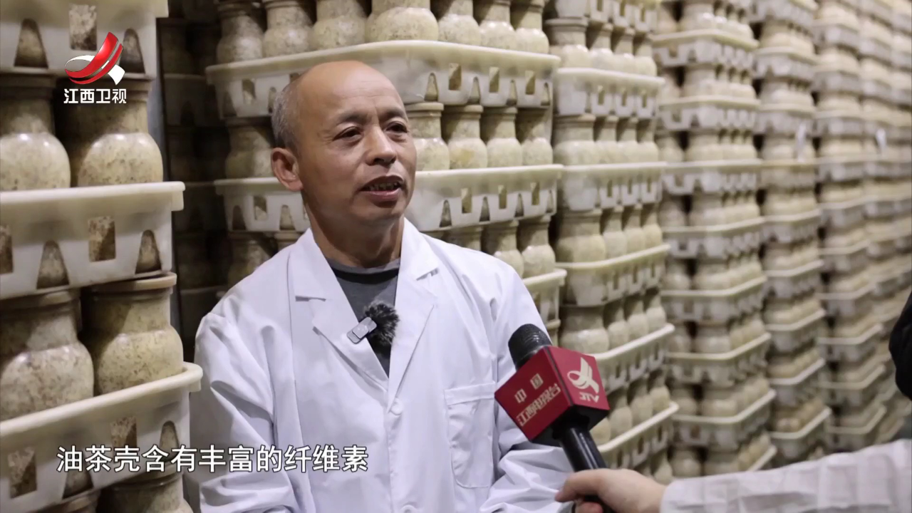社会传真 科技“撑腰” “丰”景正好