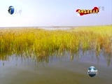 天津新闻 《天津新闻》 20170905