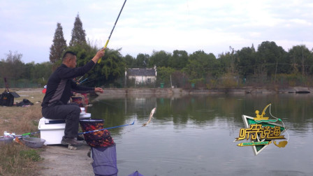 黑坑秘技飞嗑钓法!