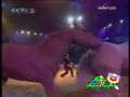 国际艺苑 欢乐秀场 动物狂欢节 2009-05-05