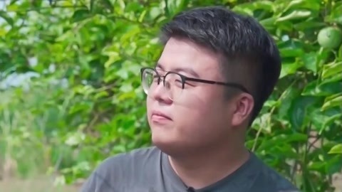深入化州探寻果中香妃 下农场比拼采摘百香果