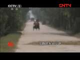 今日说法 《今日说法》 20111205 送不出去的赔偿款