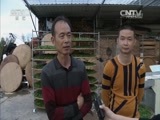 我爱发明 《我爱发明》 20160525 浪茶记