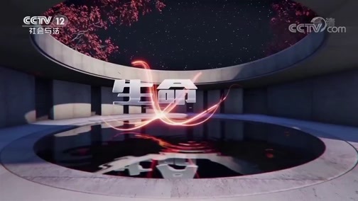 生命线 《生命线》 20191025