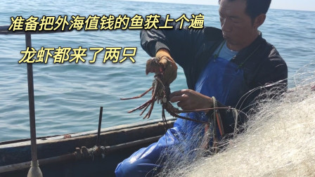 南澳岛赶海日记 彪哥这次把外海比较值钱的渔获上个遍，龙虾来了两只，还有大石雕