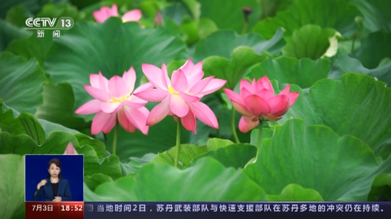 共同关注 《共同关注》 20230703