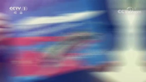 《爱的海洋——汶川地震灾区学生赴“海洋”全俄儿童中心疗养十周年纪念》 20180909