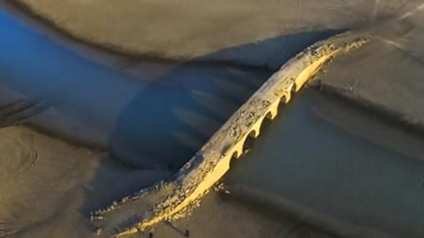 特别关注20210302