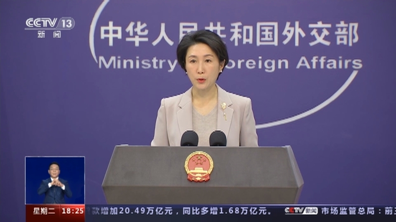 共同关注 《共同关注》 20231114