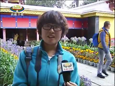 西藏新闻联播 《西藏新闻联播》 20141005