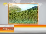 新闻夜总汇 《新闻大通道》 20160925