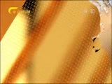 广西新闻 《广西新闻》 20170730