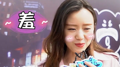 为狗狗打飞机成了日常生活？