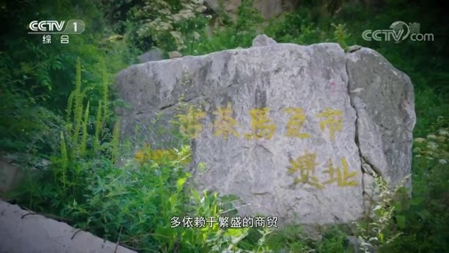 中华民族 《中华民族》 20190129 八坊十三巷 第三集 四面八坊