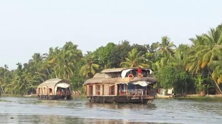 不一样的旅店 椰林中的船屋