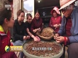 生财有道 《生财有道》 20180705 夏日经济系列：走进青海省杂多县