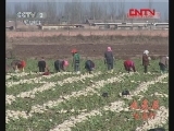 县域经济报道 《县域经济报道》 20111216