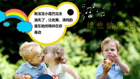 胎教音乐 第9周 维也纳风光