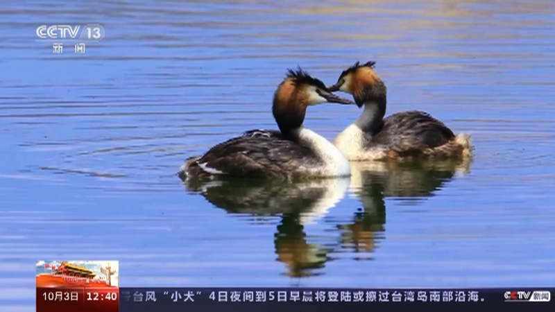 法治在线 《法治在线》 20231003