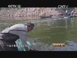 生财有道 《生财有道》 20141006 栗花飘香中的农家乐