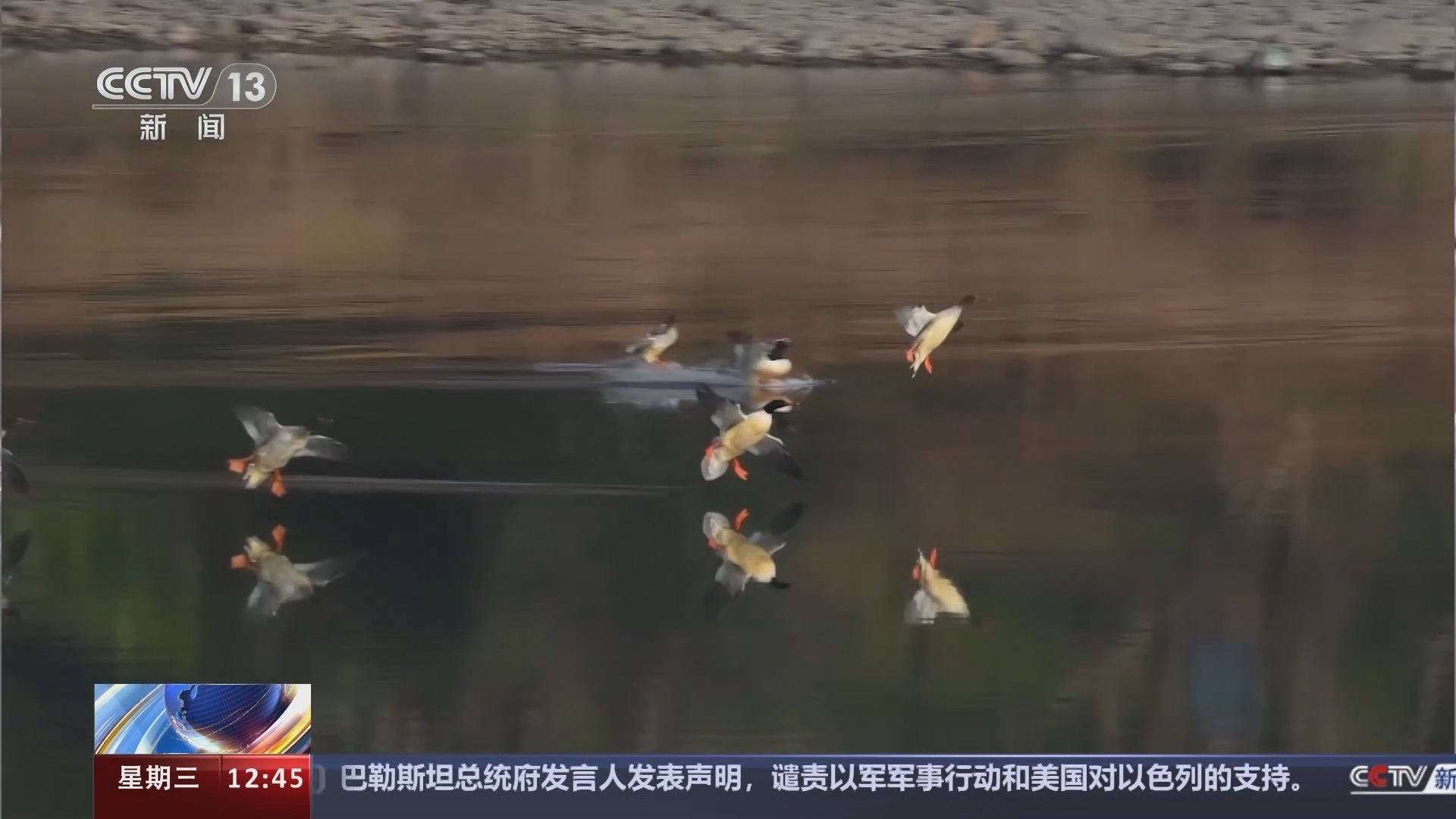 法治在线 《法治在线》 20240522