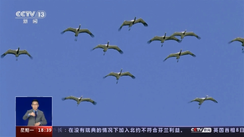 共同关注 《共同关注》 20230109