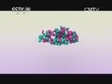 智慧树 《智慧树》 20140507