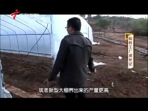 凡人大爱 《凡人大爱》 20141215 蚯蚓工厂成长记