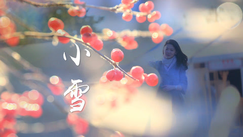 迷迭香 冬日里的小惬意！