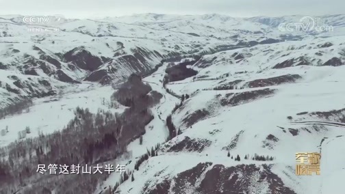国防微视频-军歌嘹亮 《国防微视频-军歌嘹亮》 20200421 《西北第一哨之歌》
