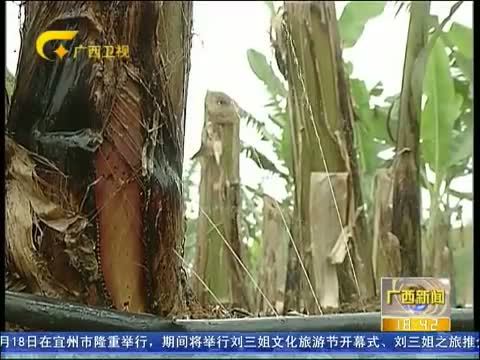 广西新闻 《广西新闻》 20141018