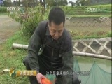 消费主张 《消费主张》 20170425 春色 春食 春滋味：荷包红鲤鱼