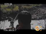 法治视界 法治视界 2011年 第49期 坚守