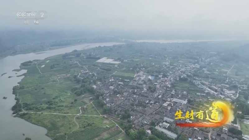 生财有道 《生财有道》 20240523 溯源棒棒鸡 打卡汉阳古镇
