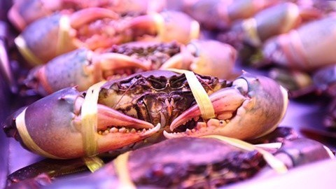 XFun吃货俱乐部2013 海鲜市场美女相伴 吃货食量遭天谴