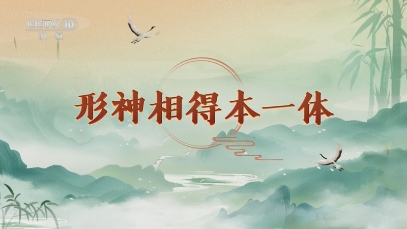百家讲坛 《百家讲坛》 20250308 延年益寿话养生（第一部） 7 形神相得本一体