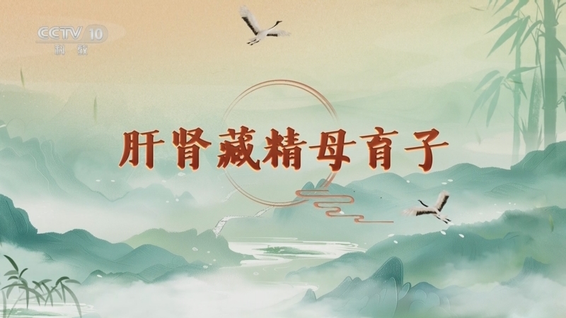 百家讲坛 《百家讲坛》 20250312 延年益寿话养生（第一部） 11 肝肾藏精母育子